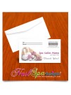 NAILSPA ENVELOPE #024